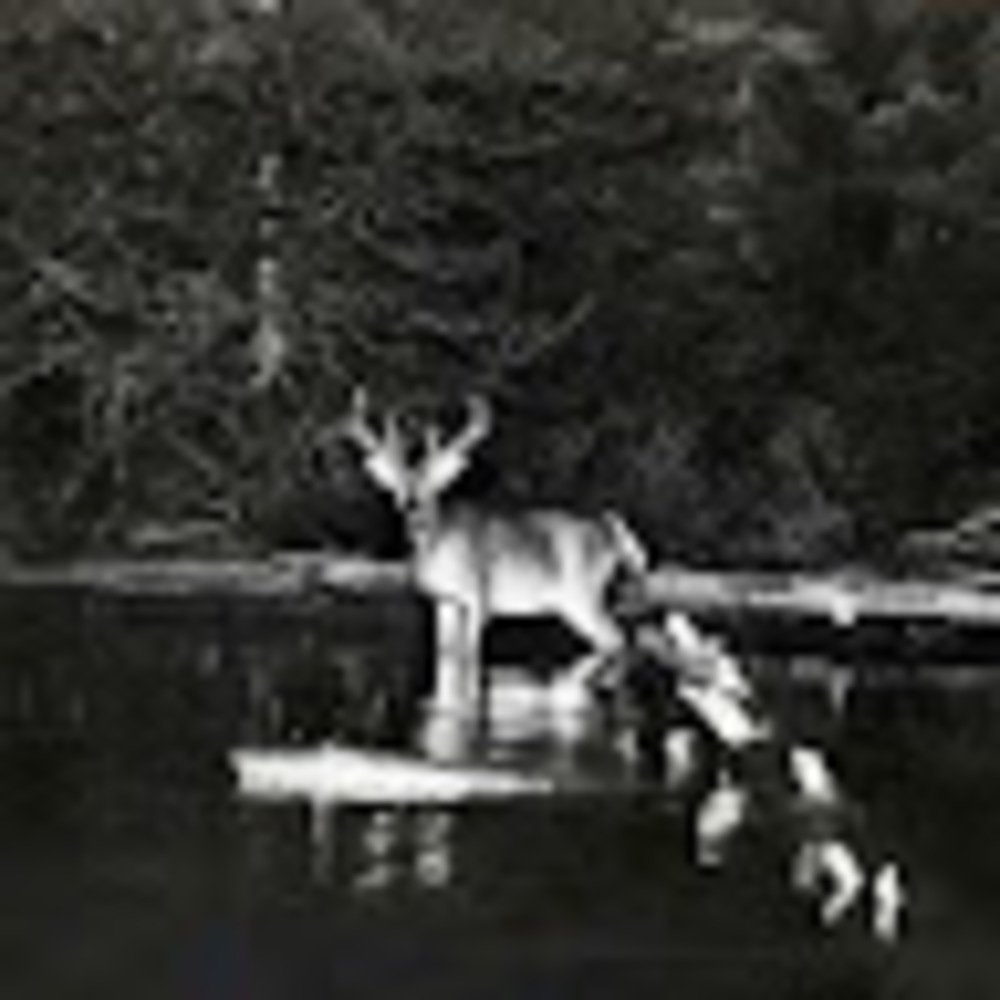 Meet your Posher, Cassiel